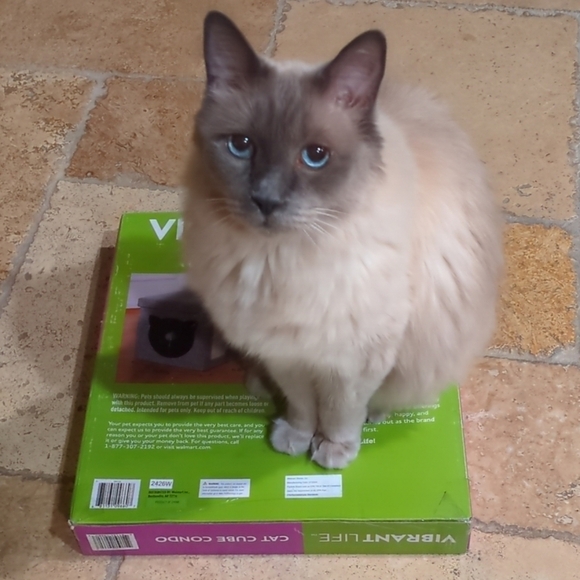 Vibrant Life Cat Cube Condo In GRAY, Satisfy your cat's desire to play and rest! - Picture 8 of 9